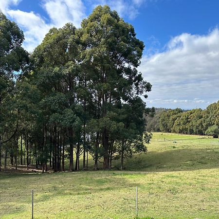 Blueberry Hills On Comleroy Farmstay - Self-Contained Cottages Kurrajong Luaran gambar