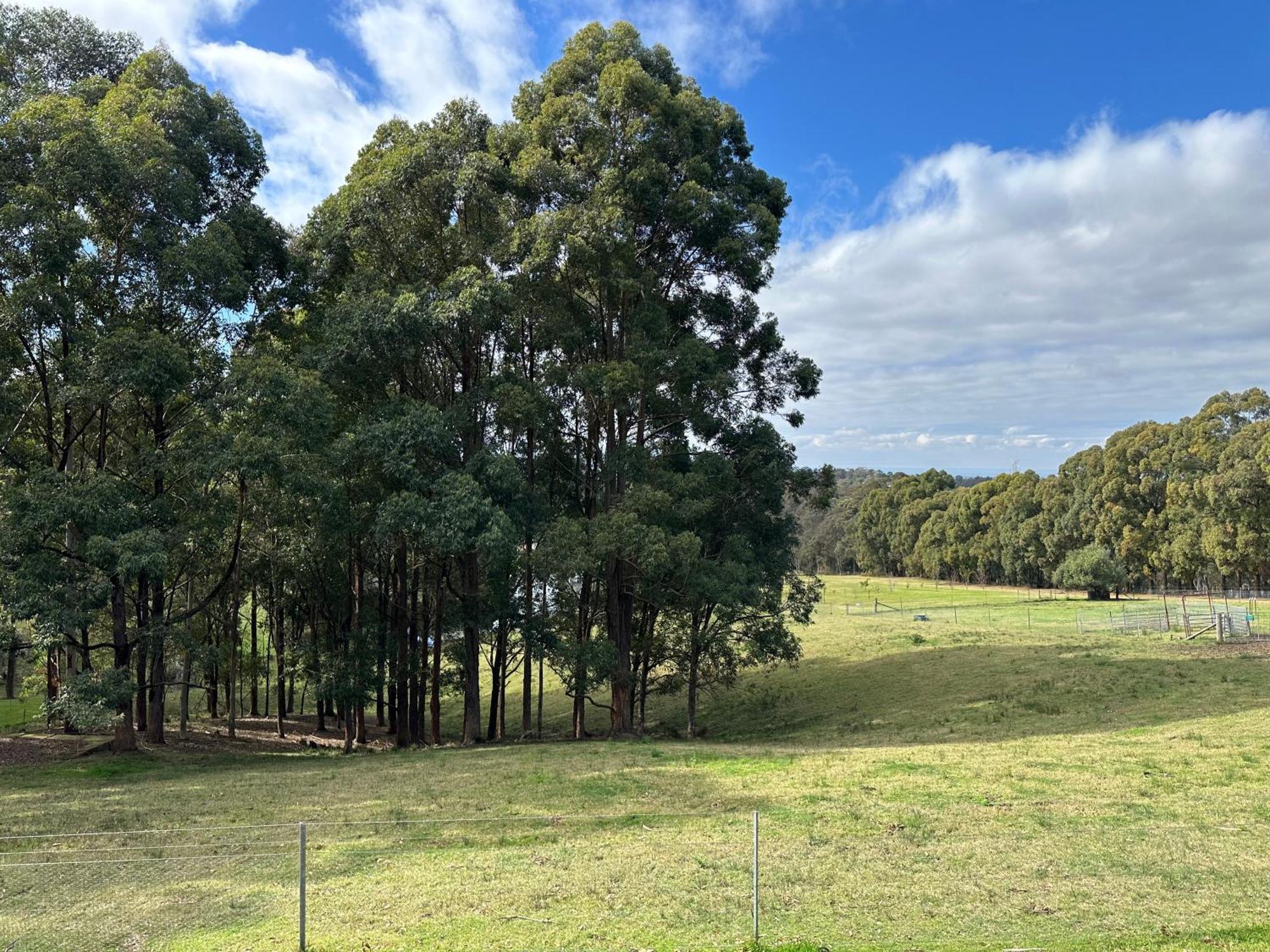Blueberry Hills On Comleroy Farmstay - Self-Contained Cottages Kurrajong Luaran gambar