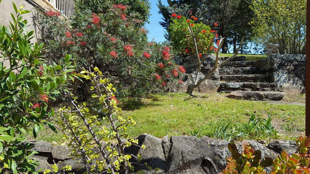 Blueberry Hills On Comleroy Farmstay - Self-Contained Cottages Kurrajong Luaran gambar