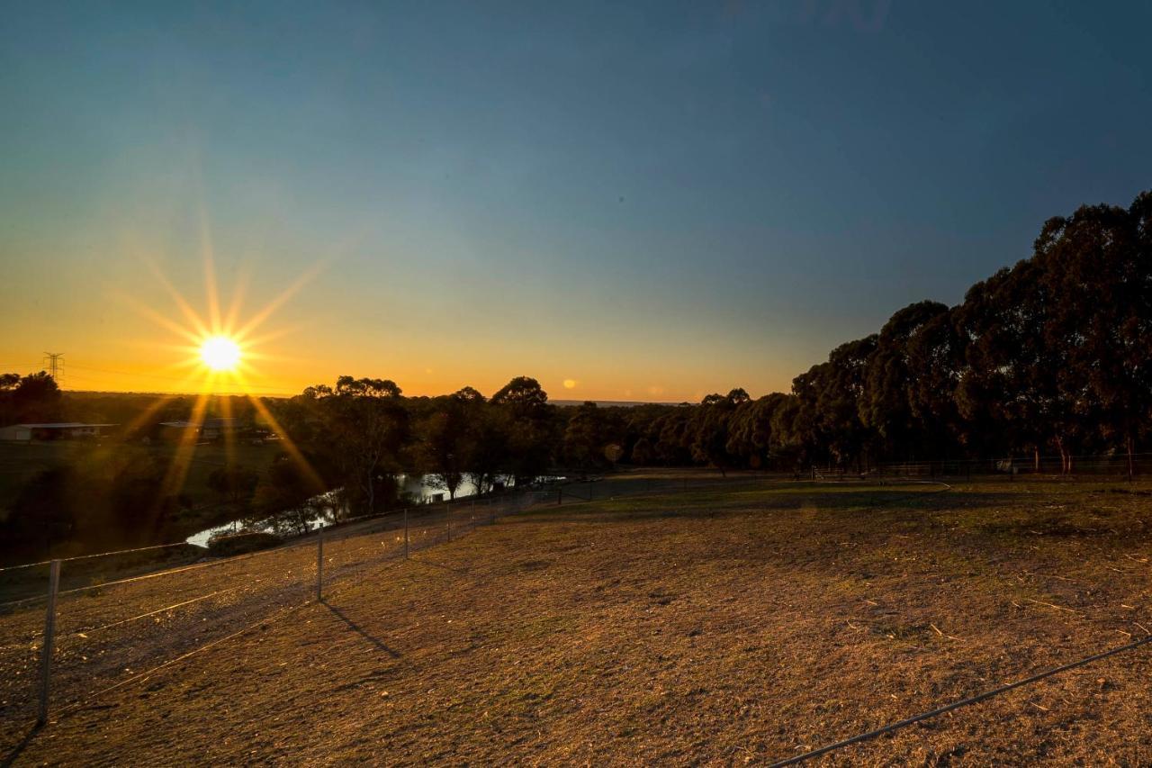 Blueberry Hills On Comleroy Farmstay - Self-Contained Cottages Kurrajong Luaran gambar