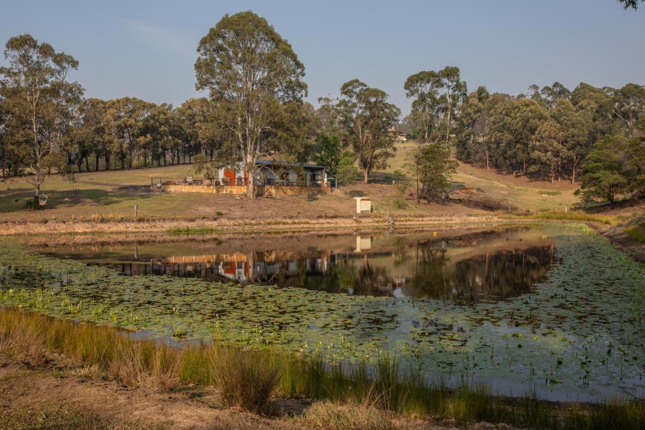 Blueberry Hills On Comleroy Farmstay - Self-Contained Cottages Kurrajong Luaran gambar