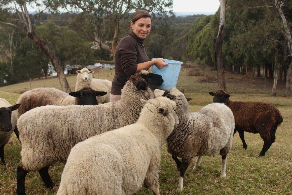 Blueberry Hills On Comleroy Farmstay - Self-Contained Cottages Kurrajong Luaran gambar